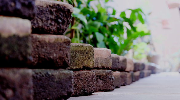 Urban gardening solutions