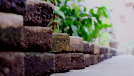 urban gardening service bangalore