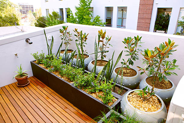terrace plant arrangement