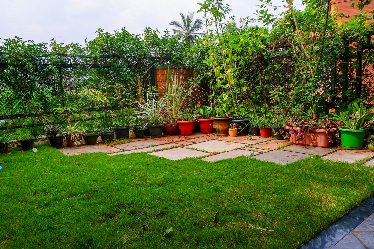 terrace gardening in bengalore Ideas