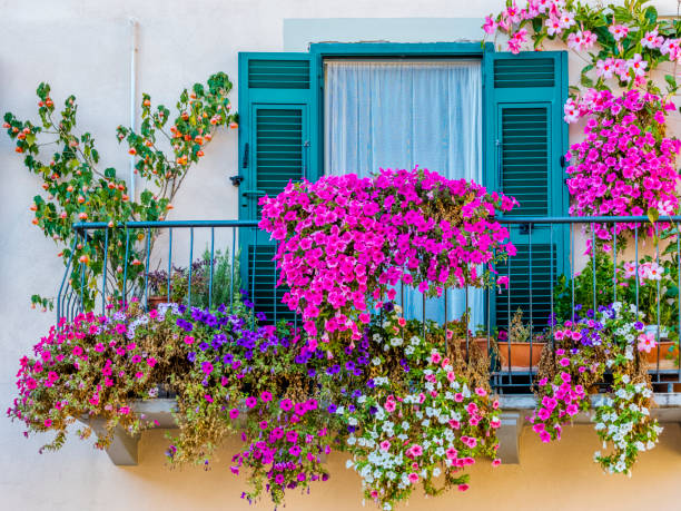 balcony garden in Bengaluru