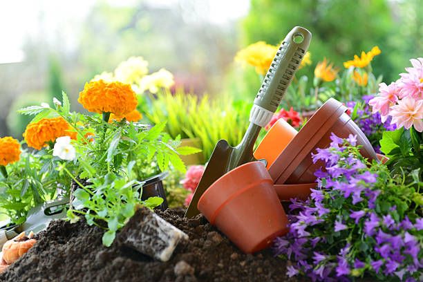 natural gardening methods