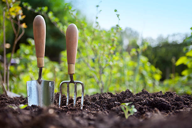  Home Gardening Mistakes  for beginner gardening problems