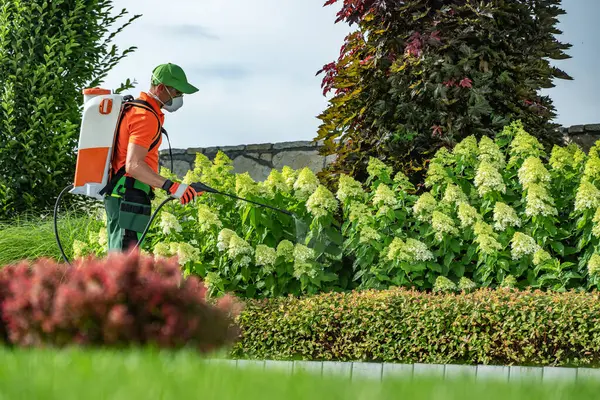 Urban rooftop garden setup with flowers and herbs